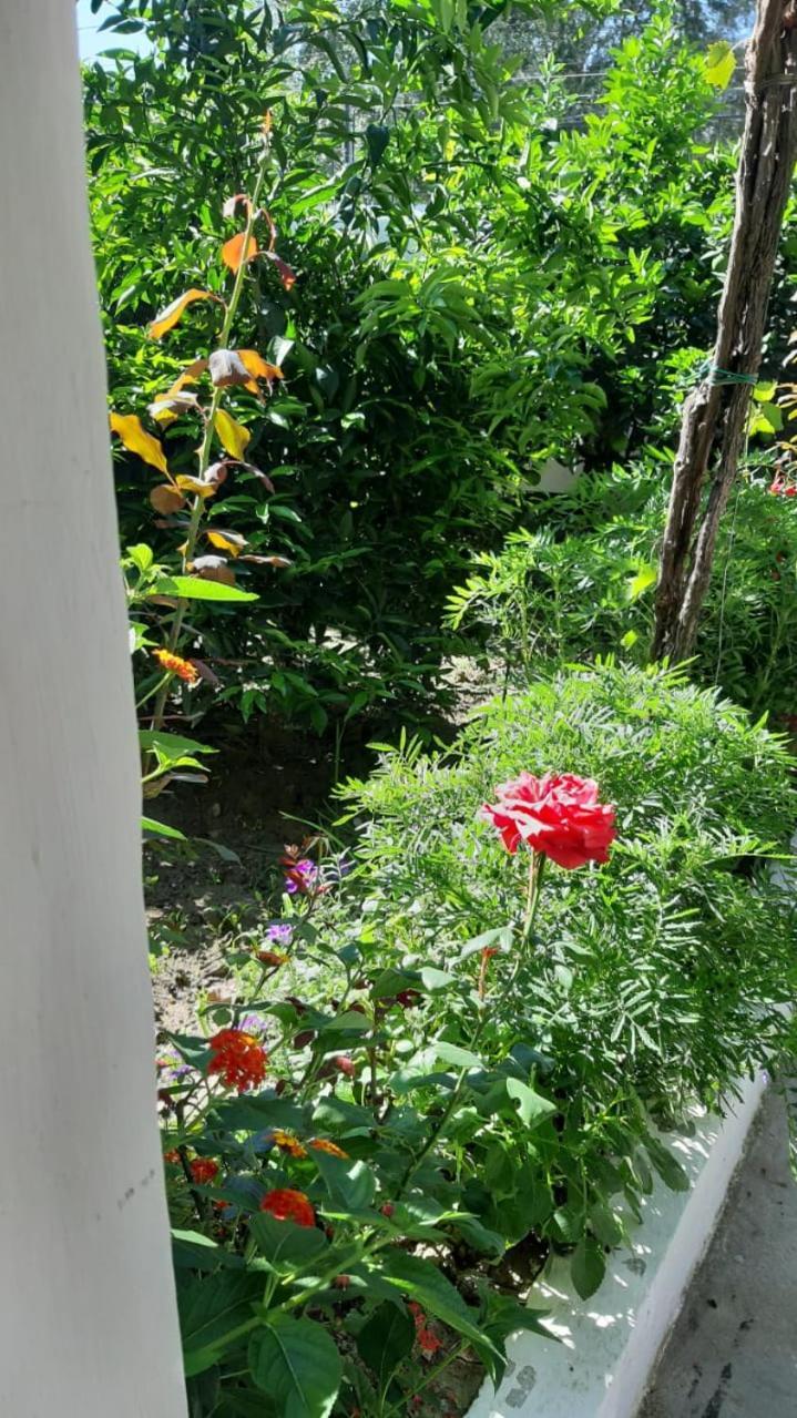 Guest House Emi Berat Dış mekan fotoğraf