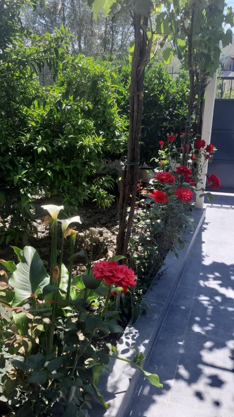 Guest House Emi Berat Dış mekan fotoğraf