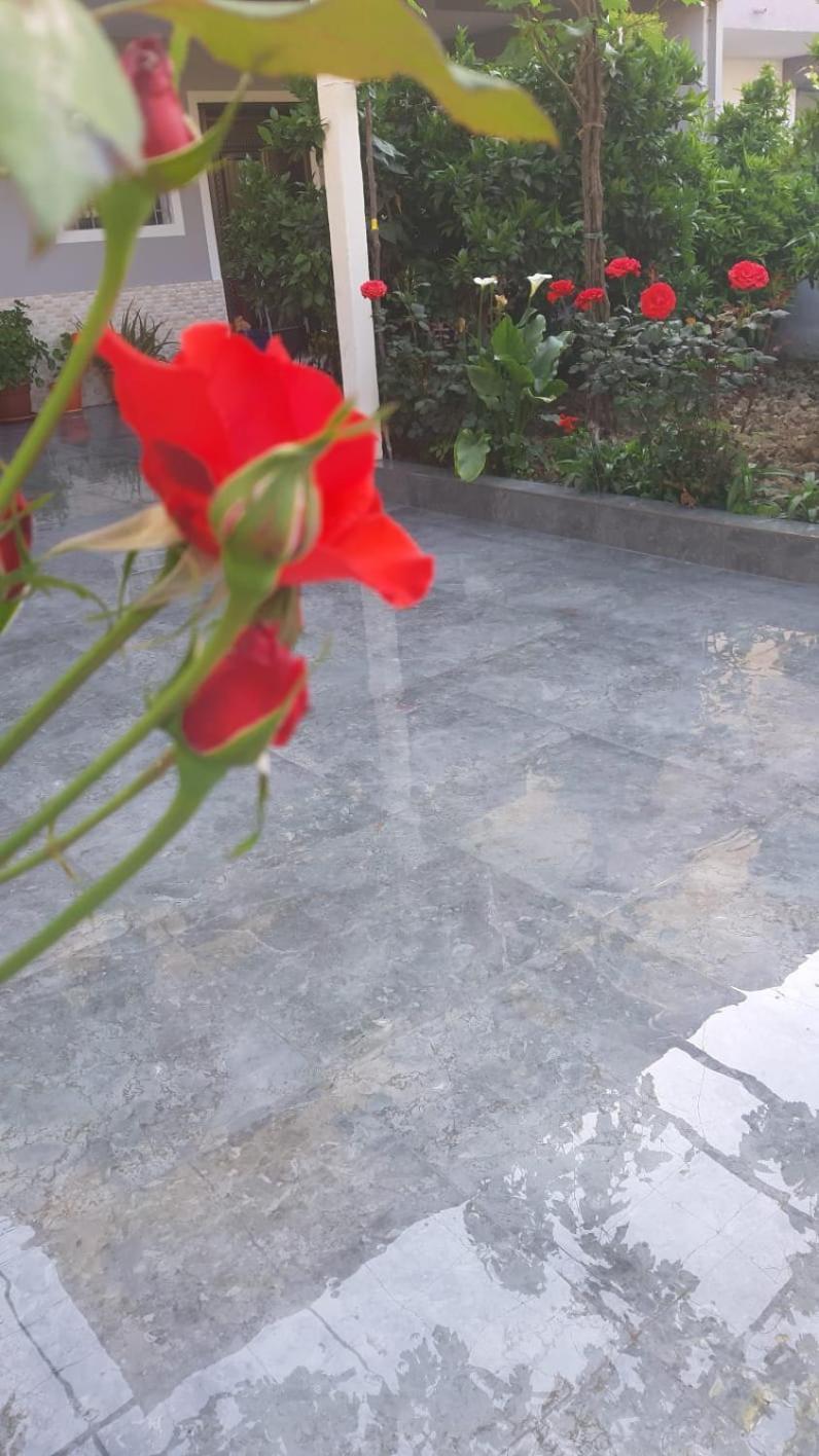 Guest House Emi Berat Dış mekan fotoğraf